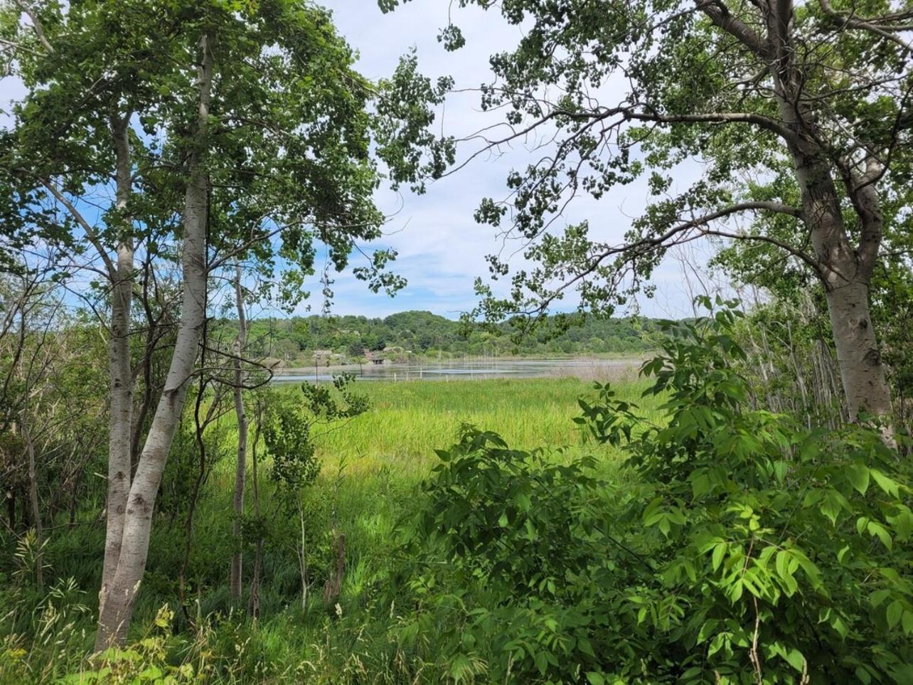 White Birch - Riverfront And Newly-Remodeled! Elberta Extérieur photo